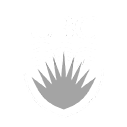 UBC client for security